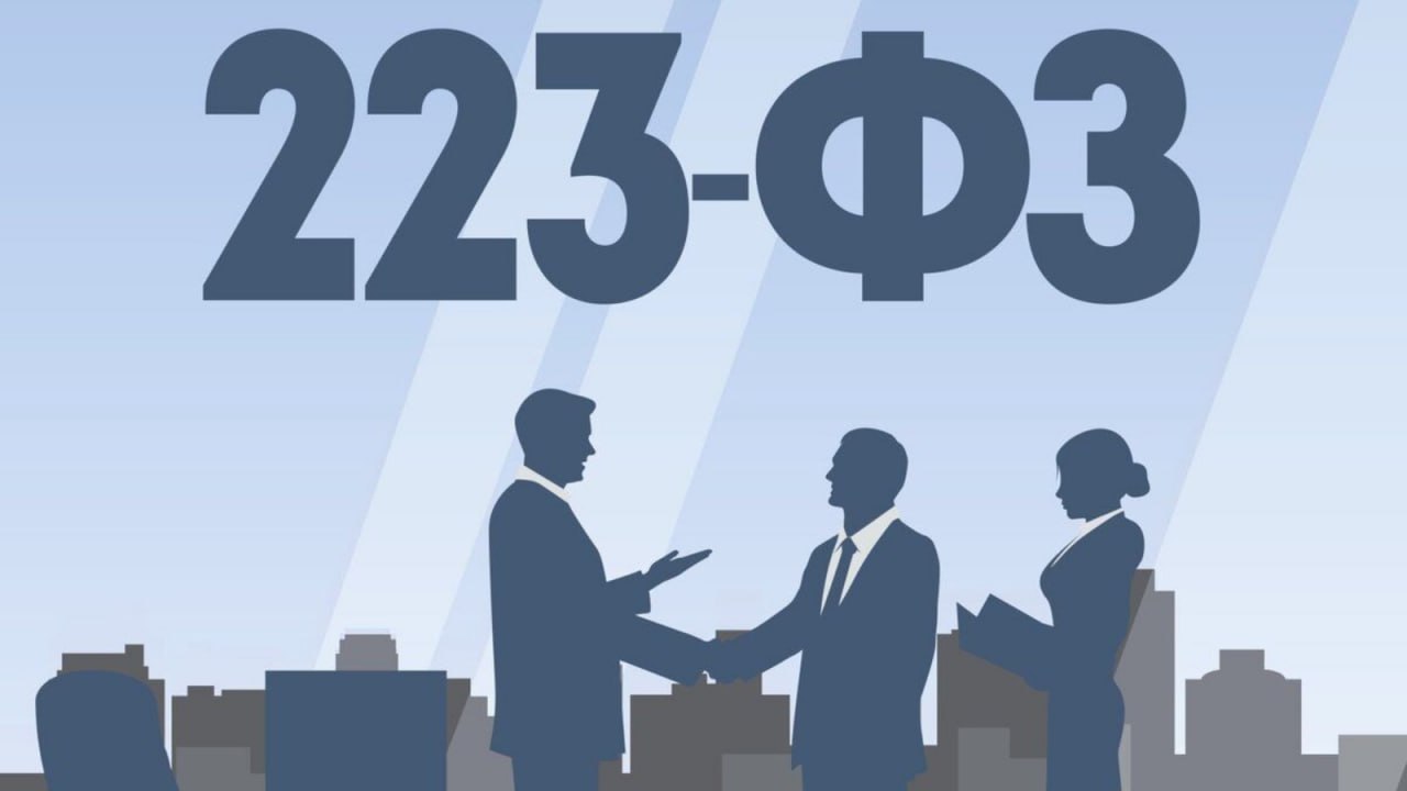 Актуальные изменения в 223-ФЗ!
